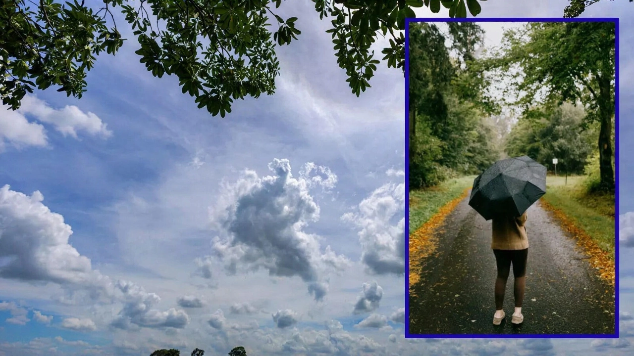 हिमालय की ओर बर्फबारी, मैदानी इलाकों में शीतलहर